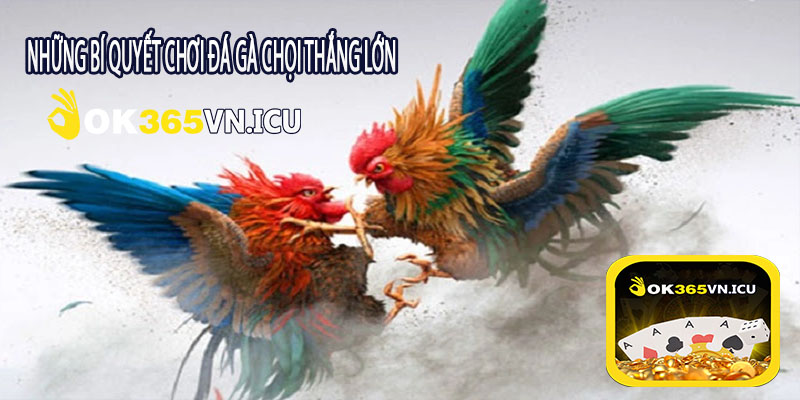 Những Bí Quyết Chơi Đá Gà Chọi Thắng Lớn